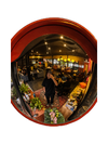 STASHED WIDE ANGLE MIRROR - THE OUTDOOR